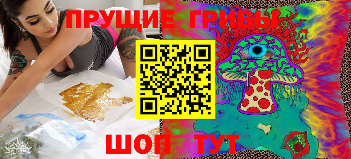 Псилоцибиновые грибы Psilocybe  Вход с VPN  продажа наркотиков  Псилоцибиновые грибы MAGIC MUSHROOMS  Мценск 