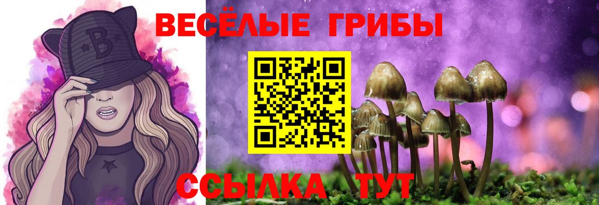 Галлюциногенные грибы Psilocybine cubensis Мценск